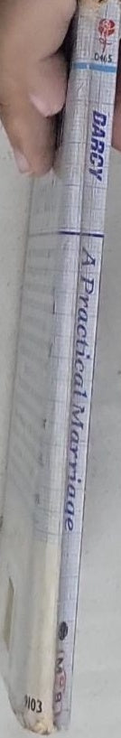 A Practical Marriage