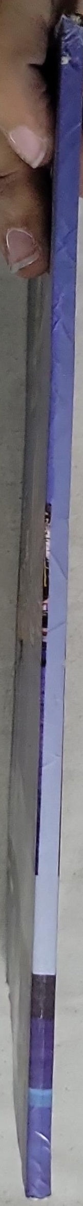 Alexandria: The Bride of the Mediterranean Sea