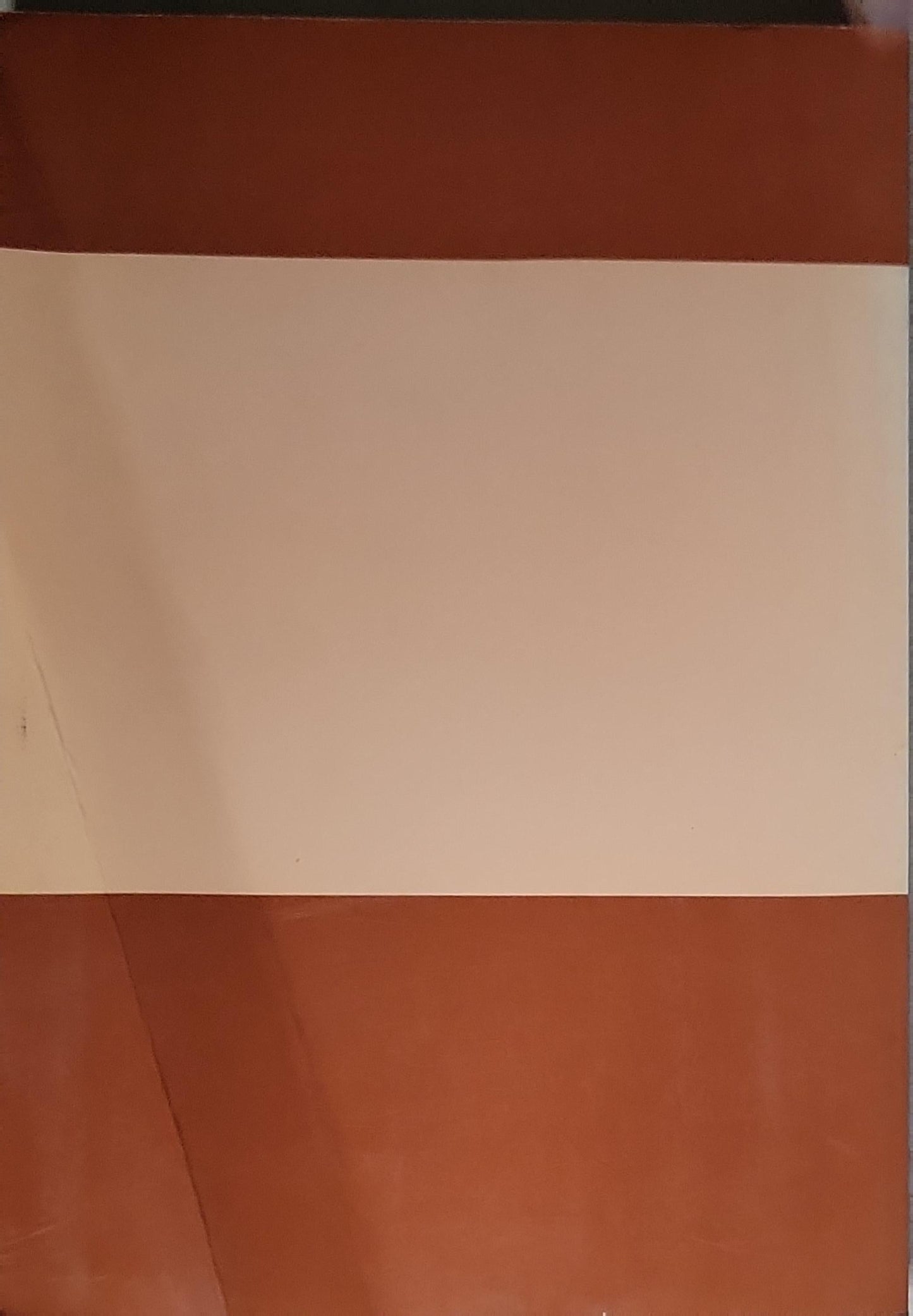 An outline of Japanese taxes: 1989 edition