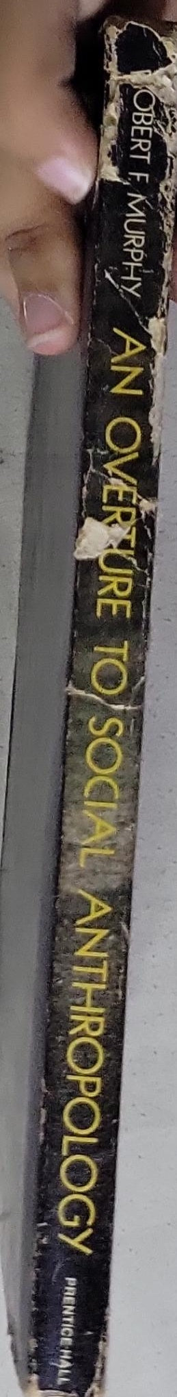 An Overture to Social Anthropology