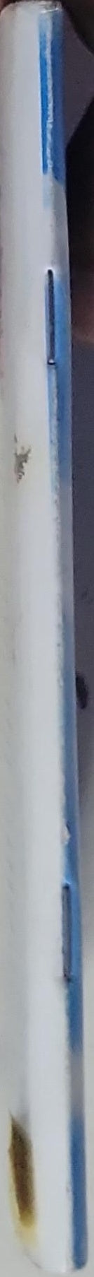 ... and then I saw Him!: Heavenly Beings Angels Are They Real?