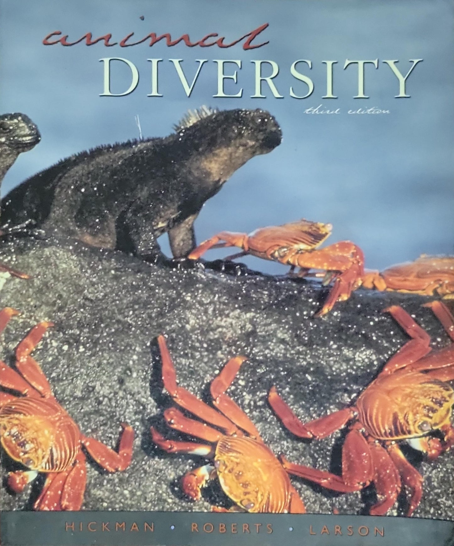 Animal Diversity: third edition