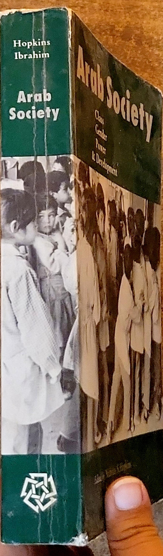 Arab Society: Class Gender Power & Development