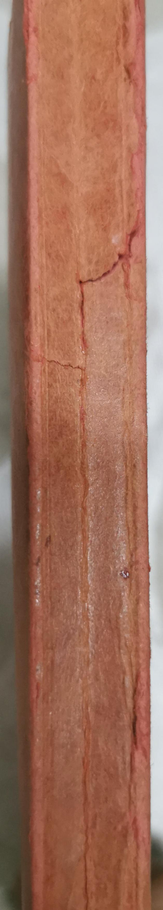 Basic Concepts of Chest Diseases: Clinical, Systematic, and Practical By El Sayed Salem, M.D.