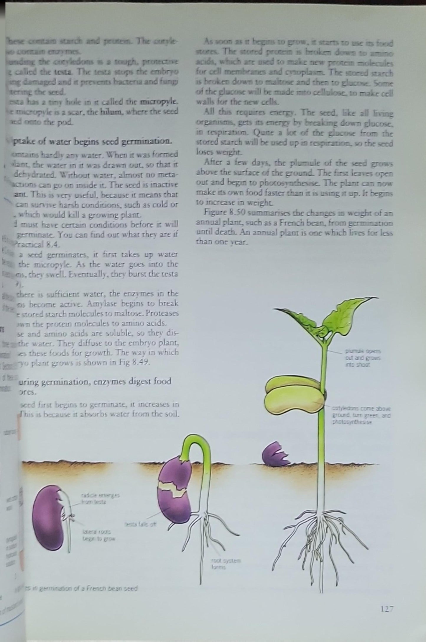 Biology