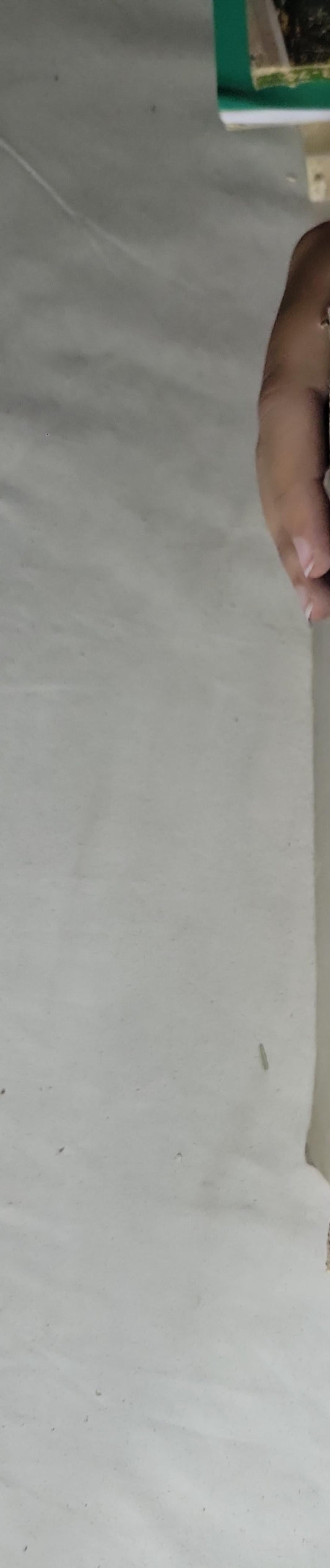 Cahiers de Droit Fiscal International: (Studies on International Fiscal Law)