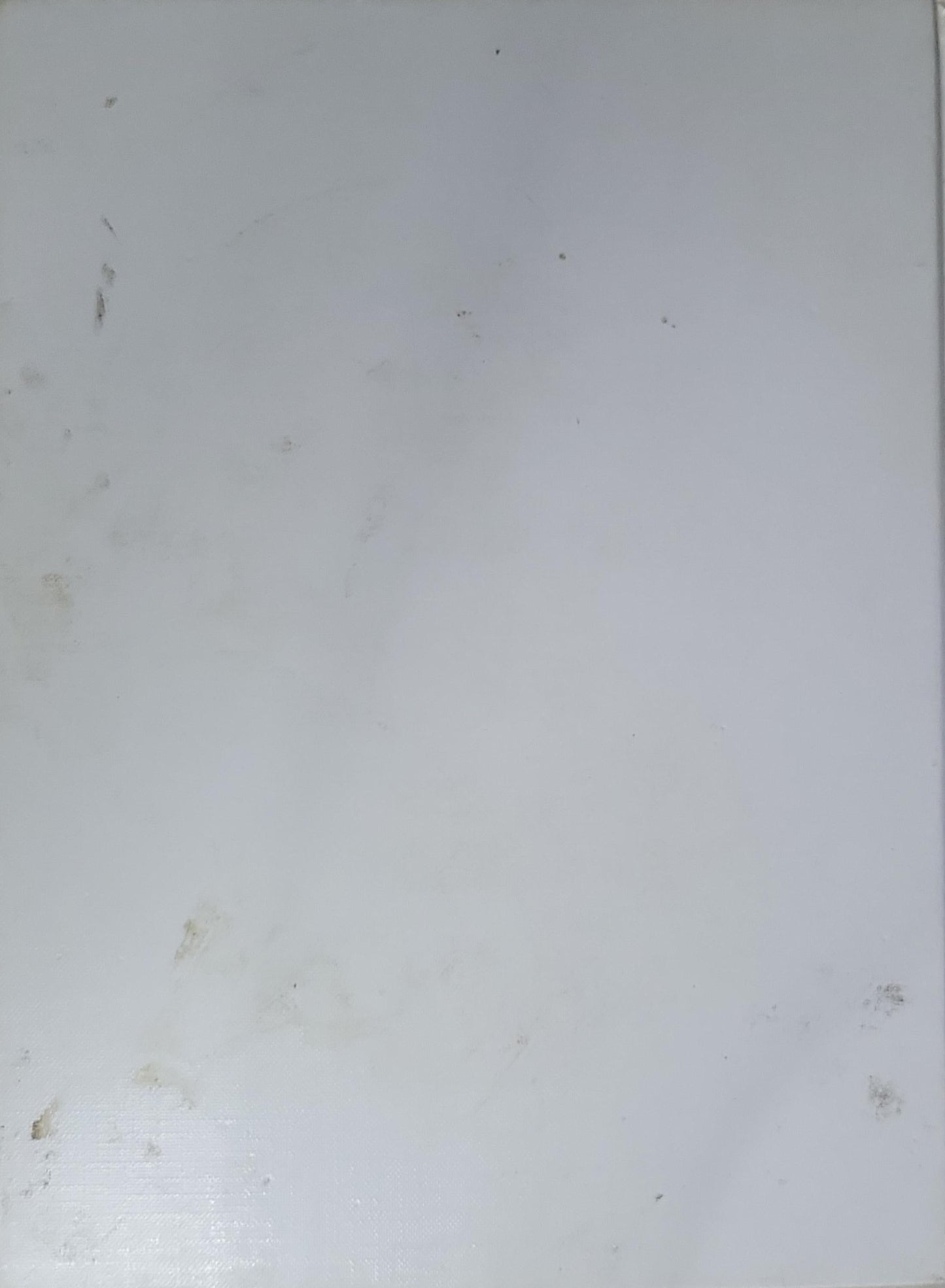 CELLE: Porträt einer Stadt und eines Kreises