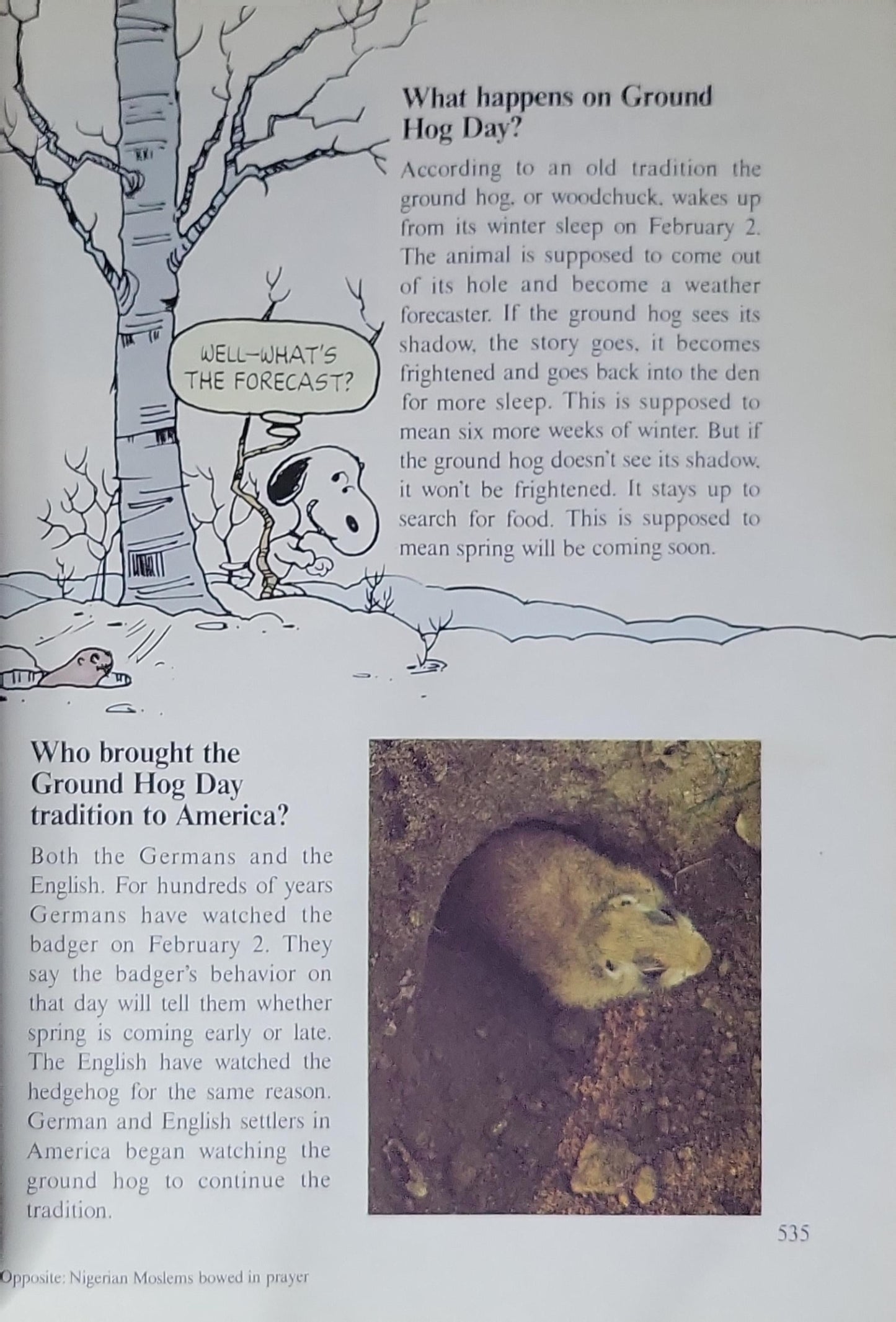Charlie Brown's Cyclopedia: Volume 12: Featuring Holidays