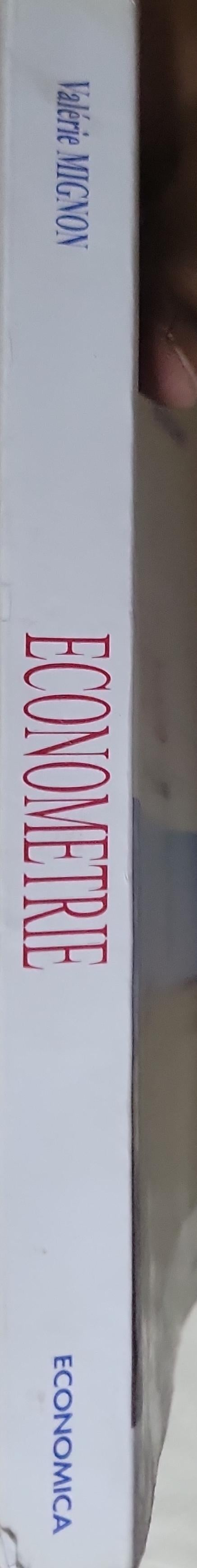 Économétrie: Théorie et applications