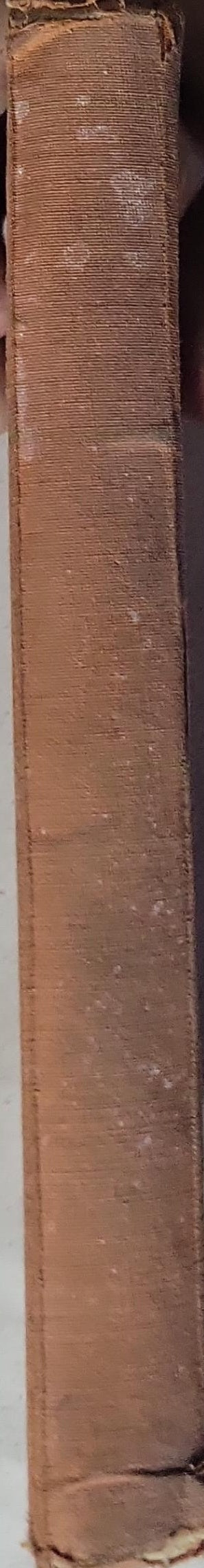 Daheim: Drittes Schulbuch für die Primarschulen des Kantons Luzern