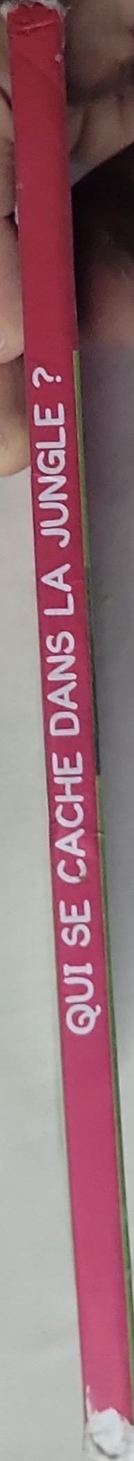 Dans la Jungle: Mon grand livre avec des volets à soulever