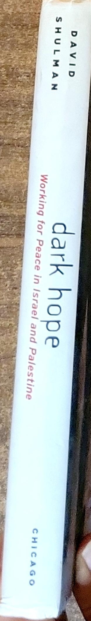 dark hope: Working for Peace in Israel and Palestine