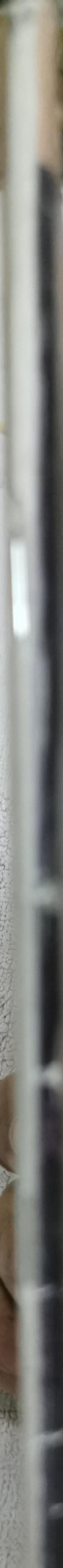 David Copperfield By Celia Jenkins