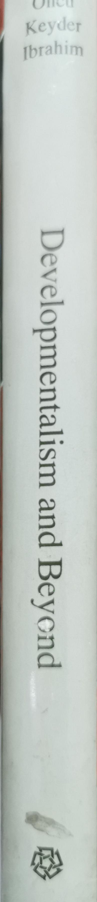 Developmentalism and Beyond: Society and Politics in Egypt and Turkey By Ayse Oncu and Caglar Keyder and Saad Eddin Ibrahim