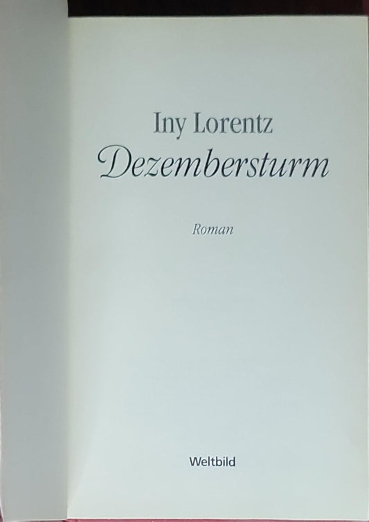 Dezembersturm: Roman (Oktober 2009 Ausgabe, Paperback)