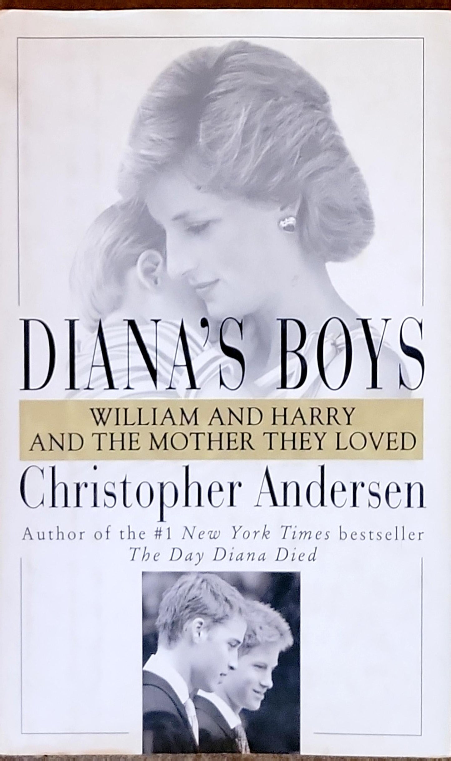 Diana's Boys: William and Harry and the Mother They Loved