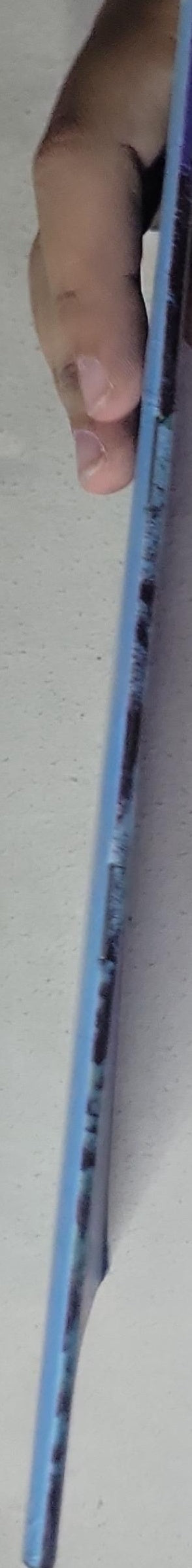 Die Faszination Des Roten Meeres