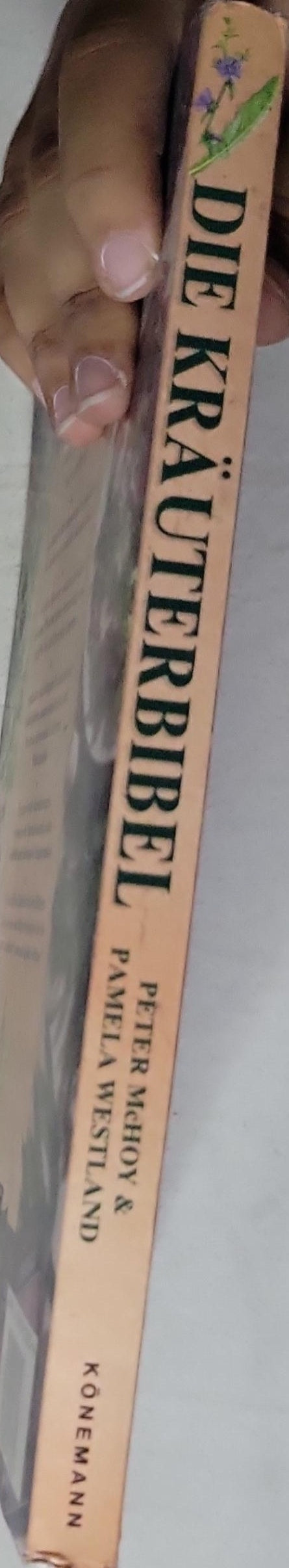 Die Kräuterbibel: Praktische Kräuterkunde für Garten und Gesundheit. Reich illustrierter Leitfaden. Alles über Anbau, Vermehrung, Pflege und Ernte