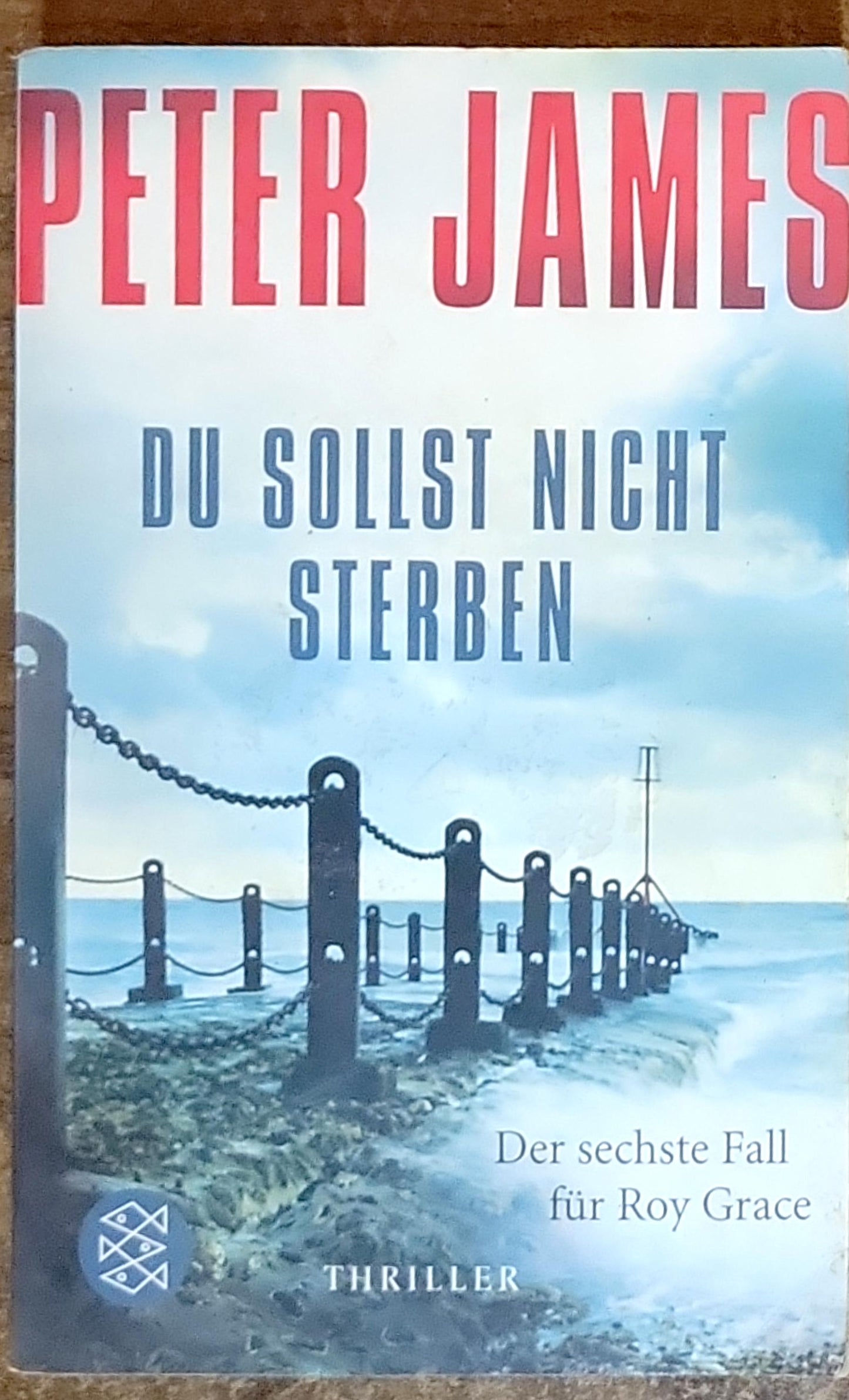Du solltest nicht sterben: Der sechste Fall für Roy Grace