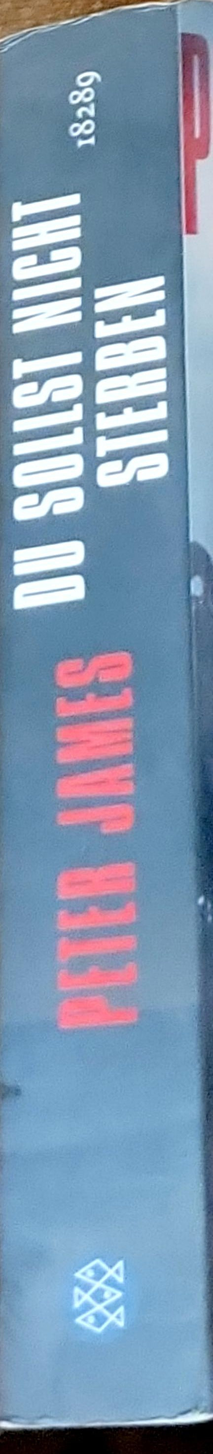 Du solltest nicht sterben: Der sechste Fall für Roy Grace