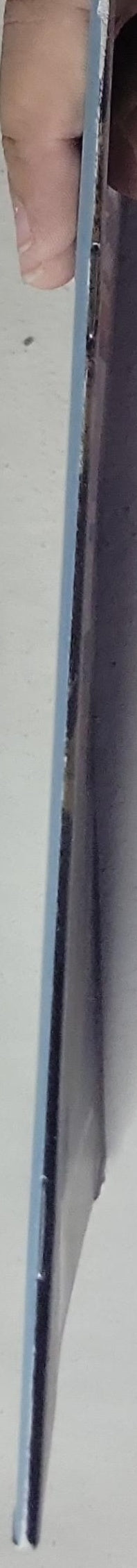 Ecclesiastes: The Search for Meaning: The Search for Meaning