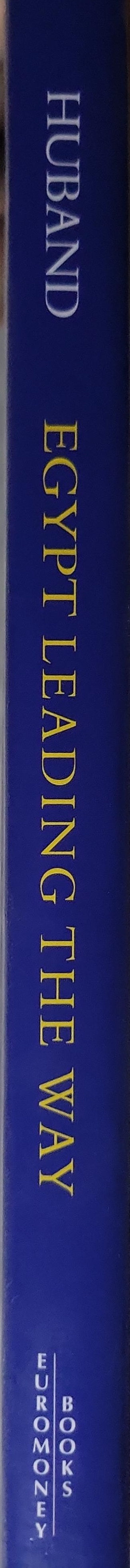 Egypt Leading the Way: Institution building and stability in the financial system
