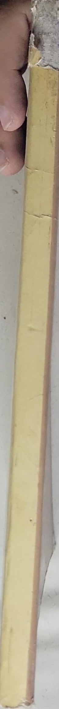 Egyptian Perspectives: A Collection of Critical Essays: A collection of critical essays