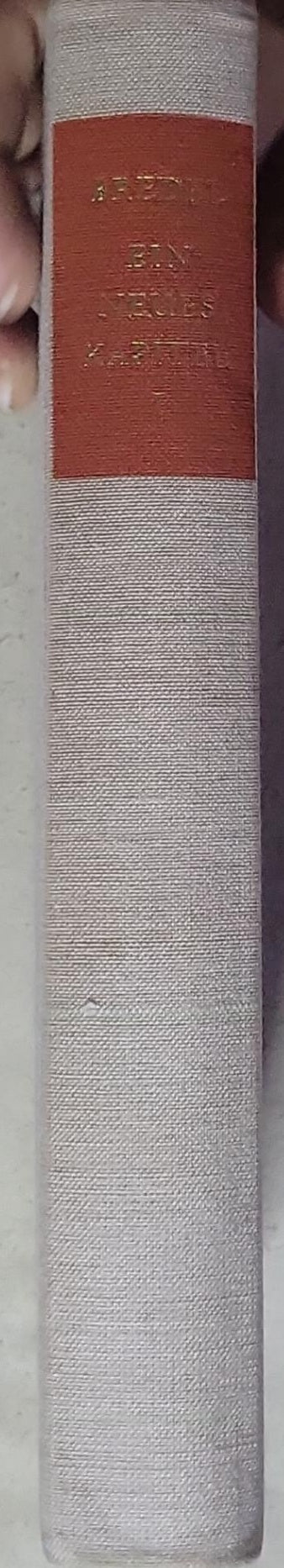 EIN NEUES KAPITEL: Erstes Buch Chronik einer Wandlung