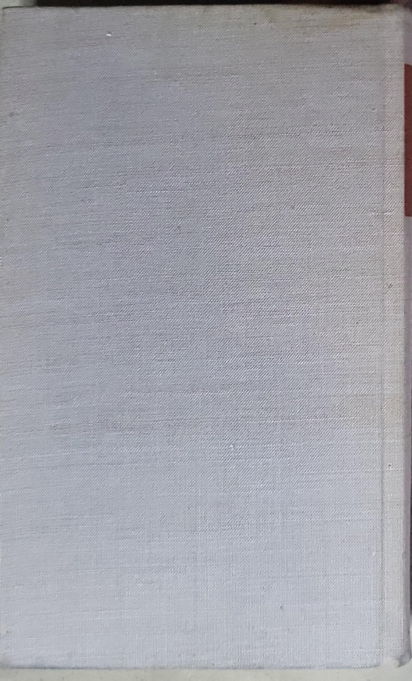 EIN NEUES KAPITEL: Erstes Buch Chronik einer Wandlung