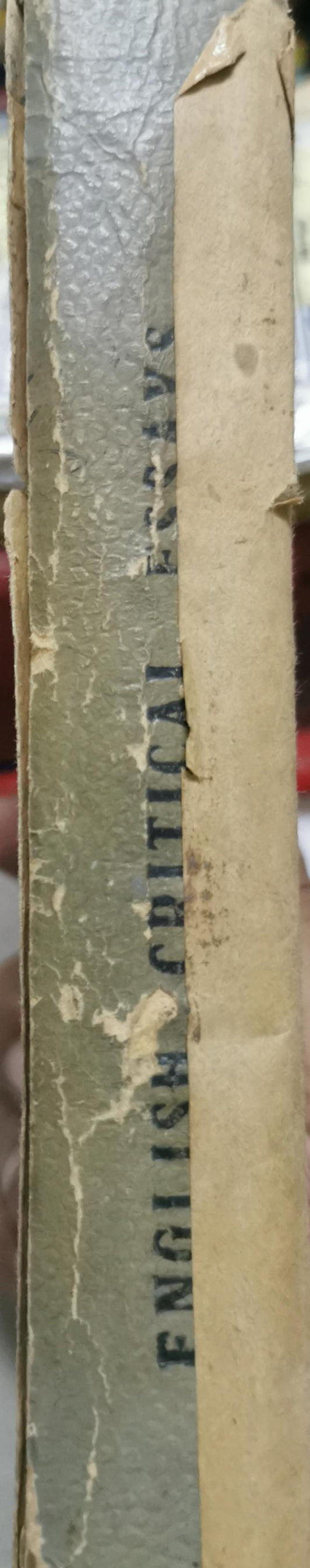 English Critical Essays: from Sidney to Shelley