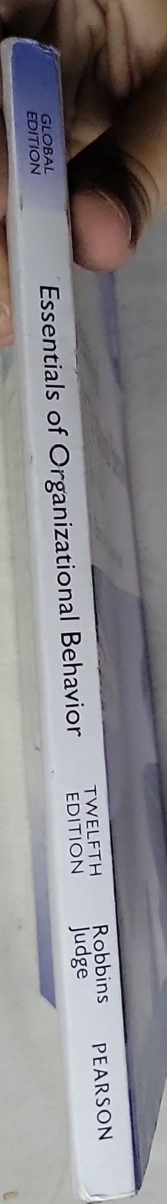 Essentials of Organizational Behavior