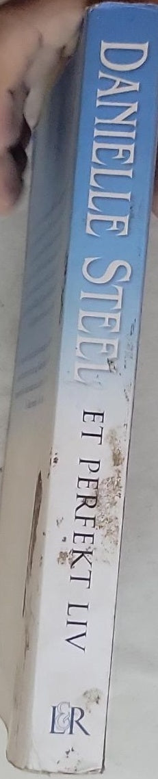 Et perfekt liv: Danielle Steel