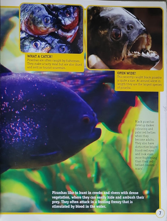Extreme 3-D Piranha: and other UNDERWATER KILLERS