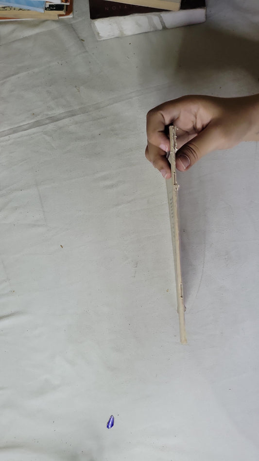 Galatians: Free At Last: 13 inductive studies for teens; A Young Fisherman Bible Studyguide