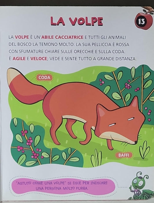 GLI ANIMALI DEL BOSCO