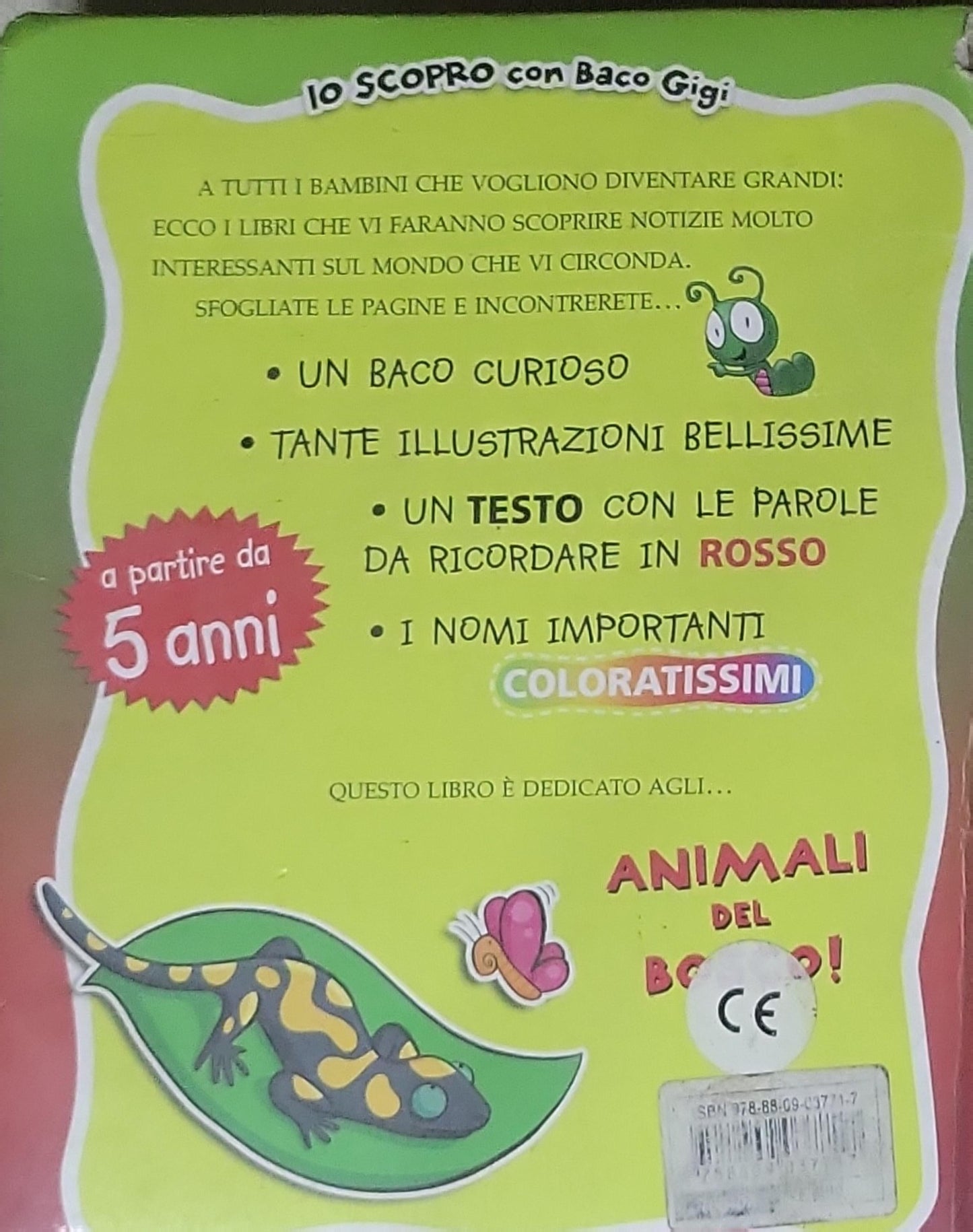 GLI ANIMALI DEL BOSCO