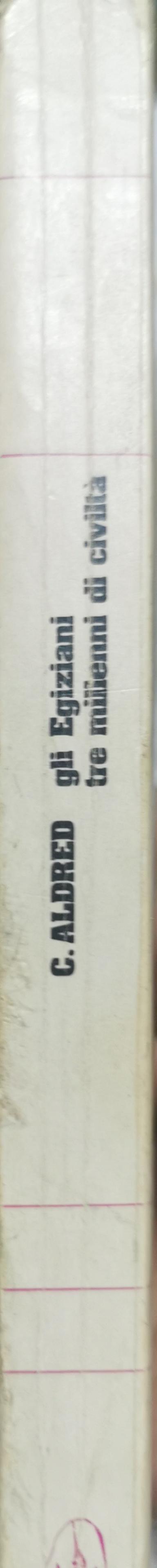 Gli Egiziani: tre millenni di civiltà: origini, splendore e declino di un antico popolo sulle sponde del Nilo By Cyril Aldred