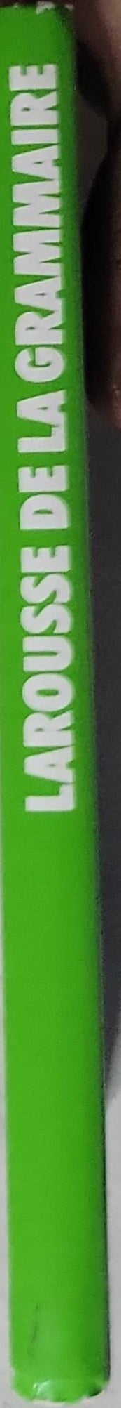 Grammaire - Difficultés, usages, 4000 exemples: Larousse de la grammaire. Difficultés - Usages - 4000 exemples