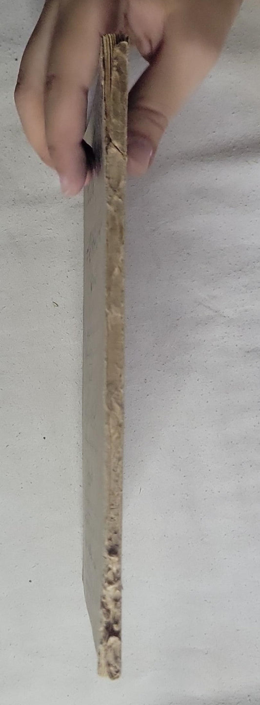 Grammaire Française et Conjugaison des Verbes Réguliers et Irréguliers: Première Partie