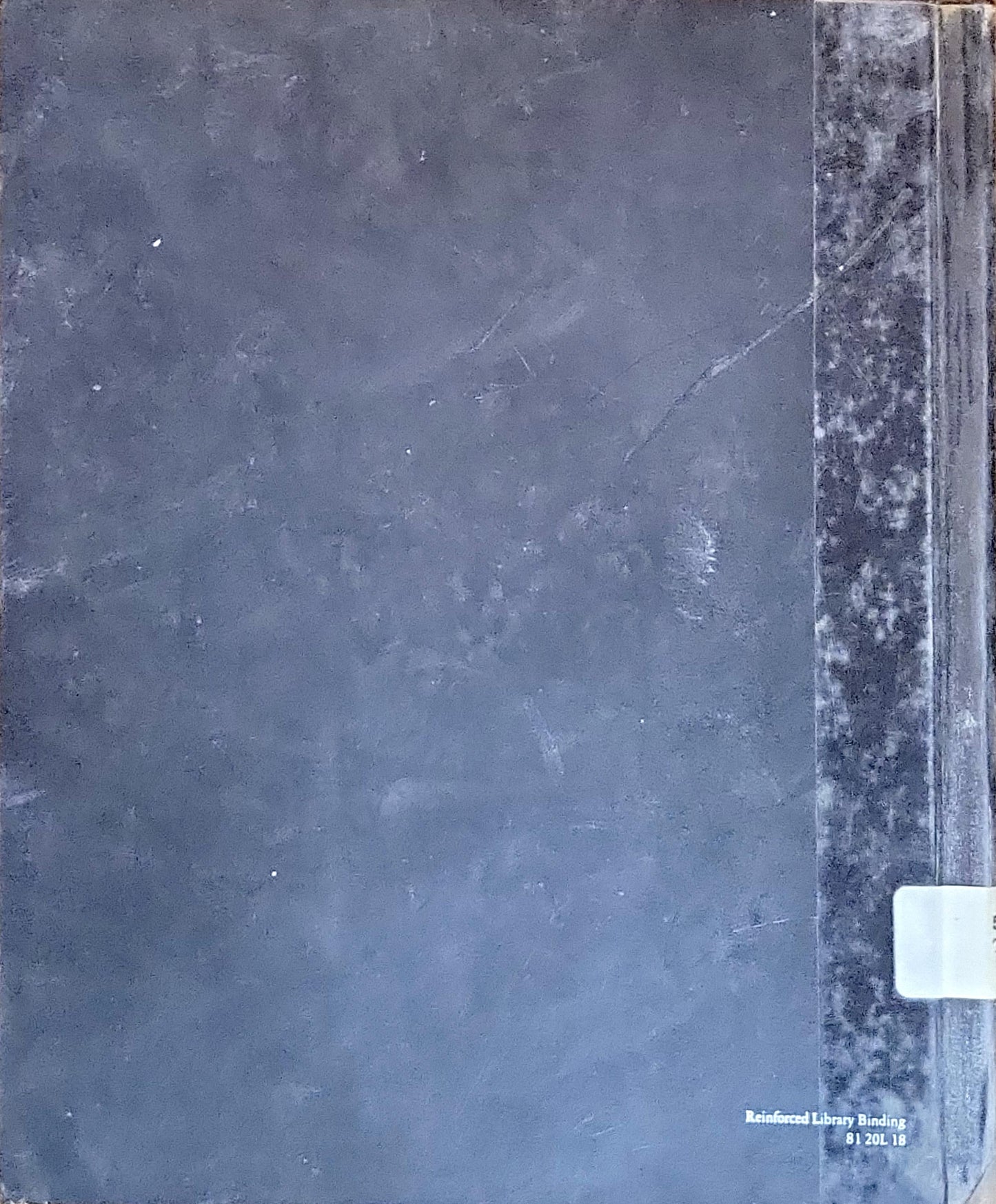 Grasslands and Tundra