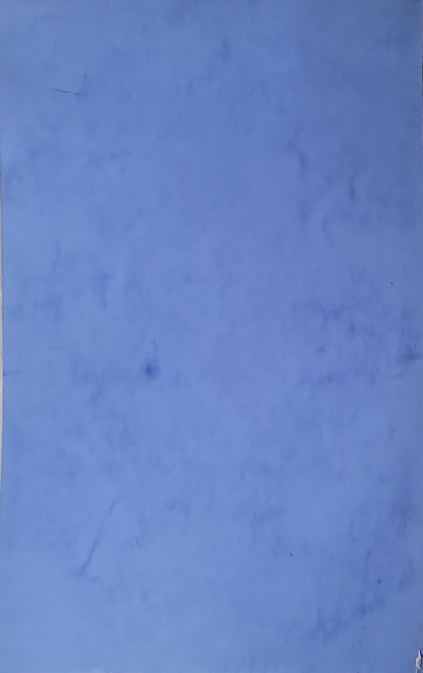 Gross Pathology.: Museum Specimens Post Mortem Specimens By Gamal M. Nada