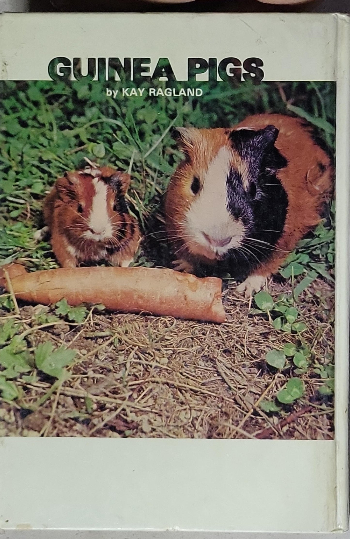 Guinea Pigs