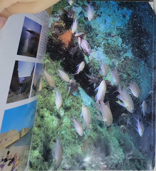 Égypte. Nouveau guide complet de l'Égypte