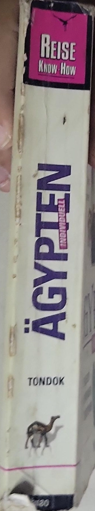 Ägypten: und die Ägypter verstehen lernen, ihr Land und ihre Vergangenheit bewusst erleben.