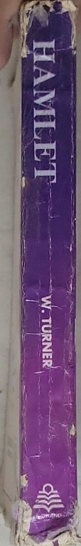 Hamlet: Shakespeare’s Plays Edited by W. Turner