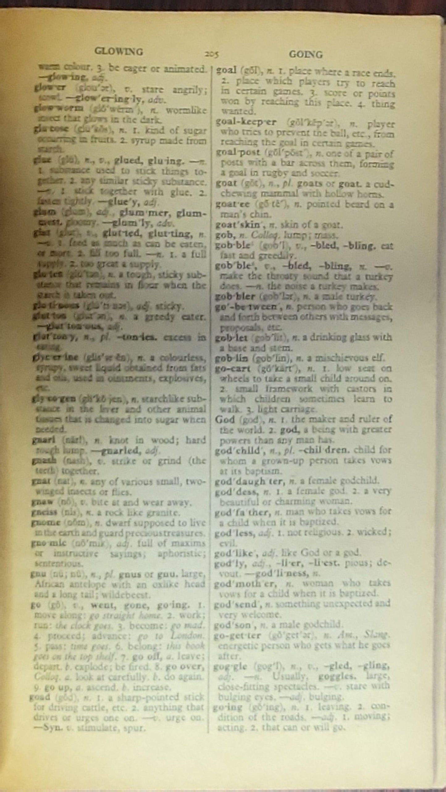 Handy Pocket Dictionary