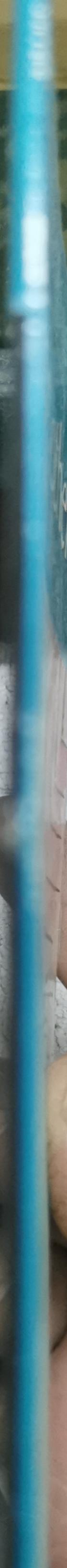 Helping others: Read & Shine