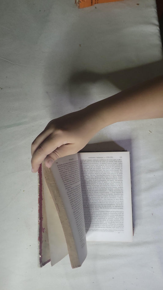 Histoire des Français: Depuis le temps des Gaulois jusqu'en 1830