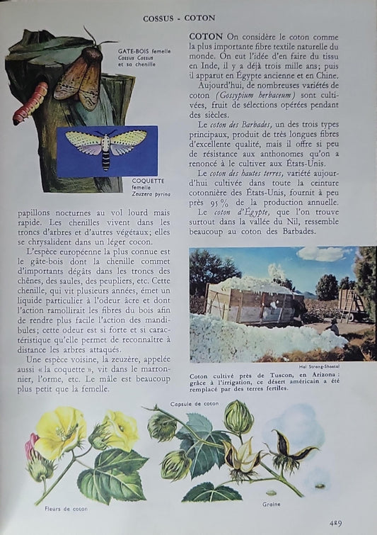 histoire naturelle: pour garçons et filles