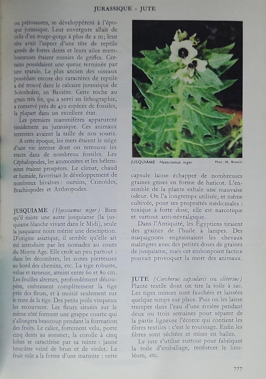 histoire naturelle: pour garçons et filles